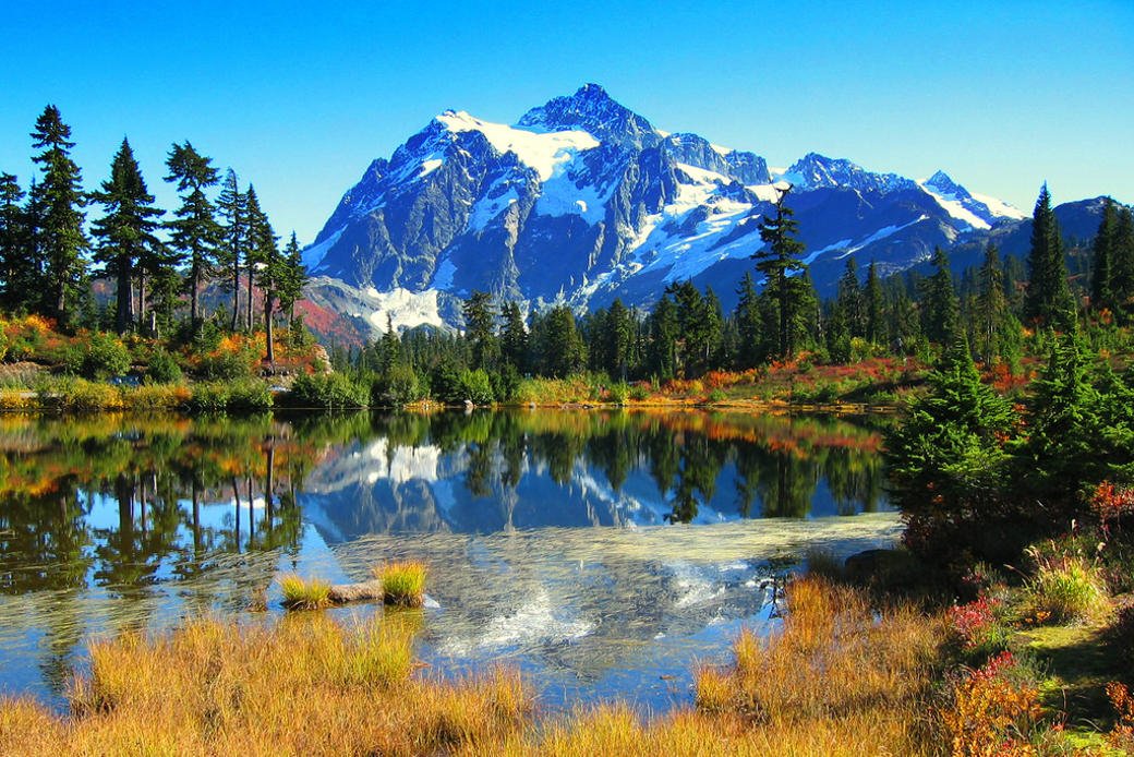 mountains, pond, and trees