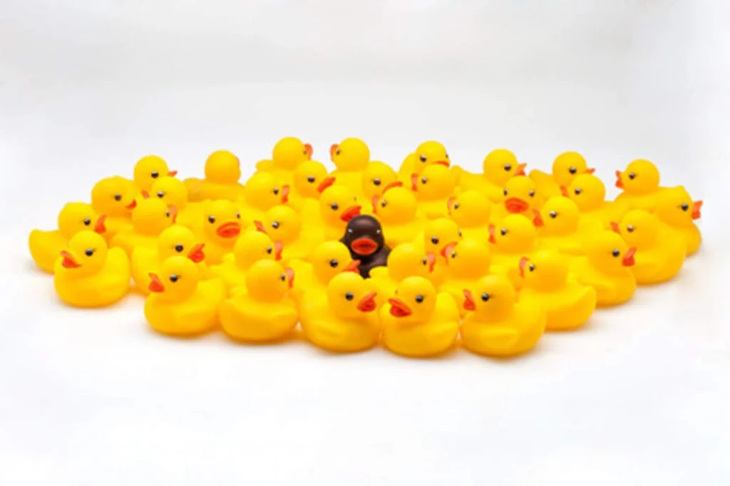 rubber ducks different races