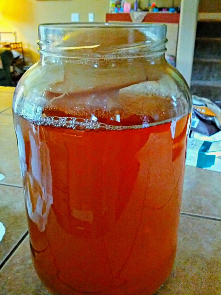homemade kombucha with SCOBY in jar, side view